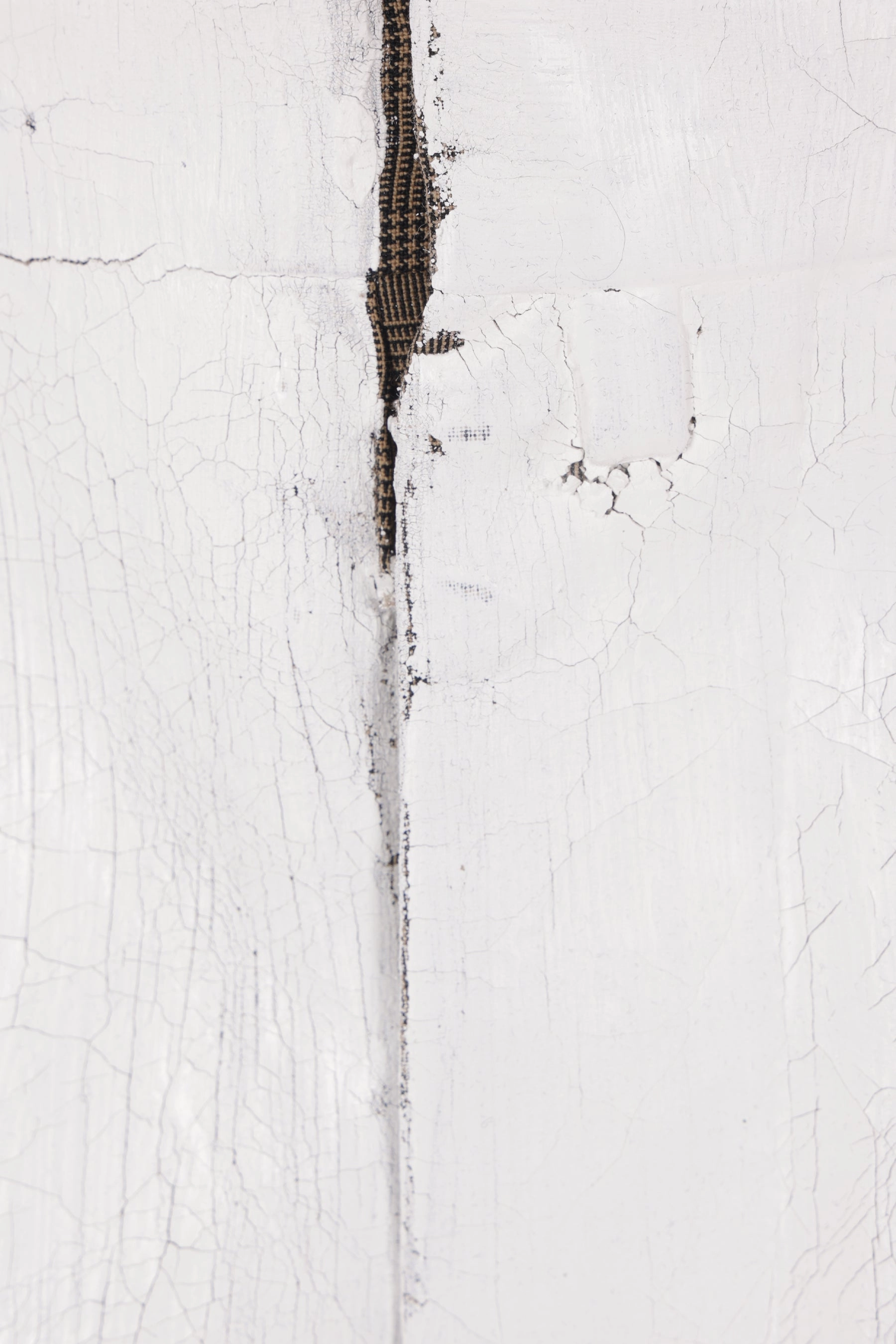 painted wool blend trousers